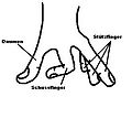 Squaten-Schussposition-linke-Hand.jpg